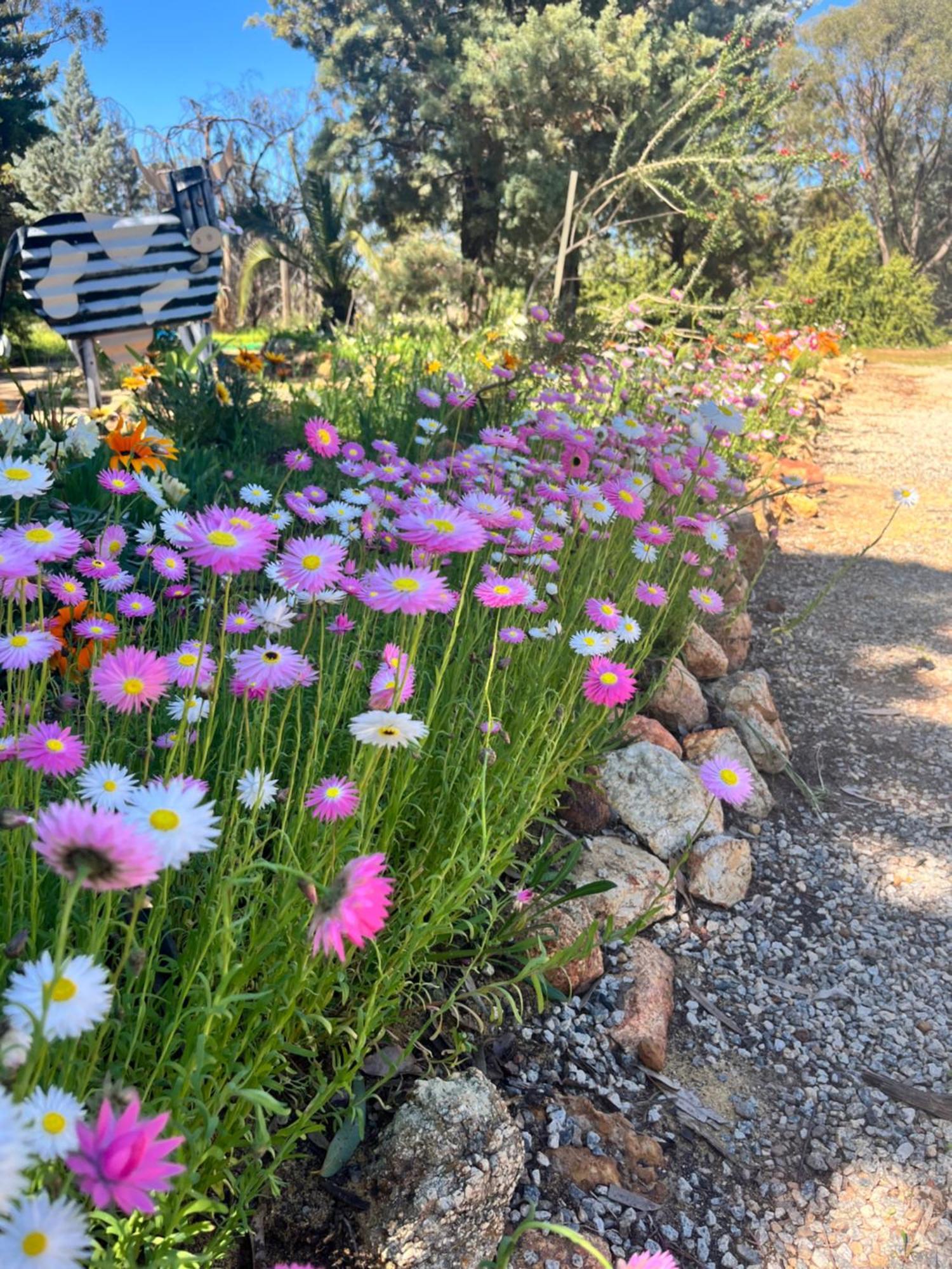 The Old Convent Dalwallinu Bed & Breakfast Exterior photo